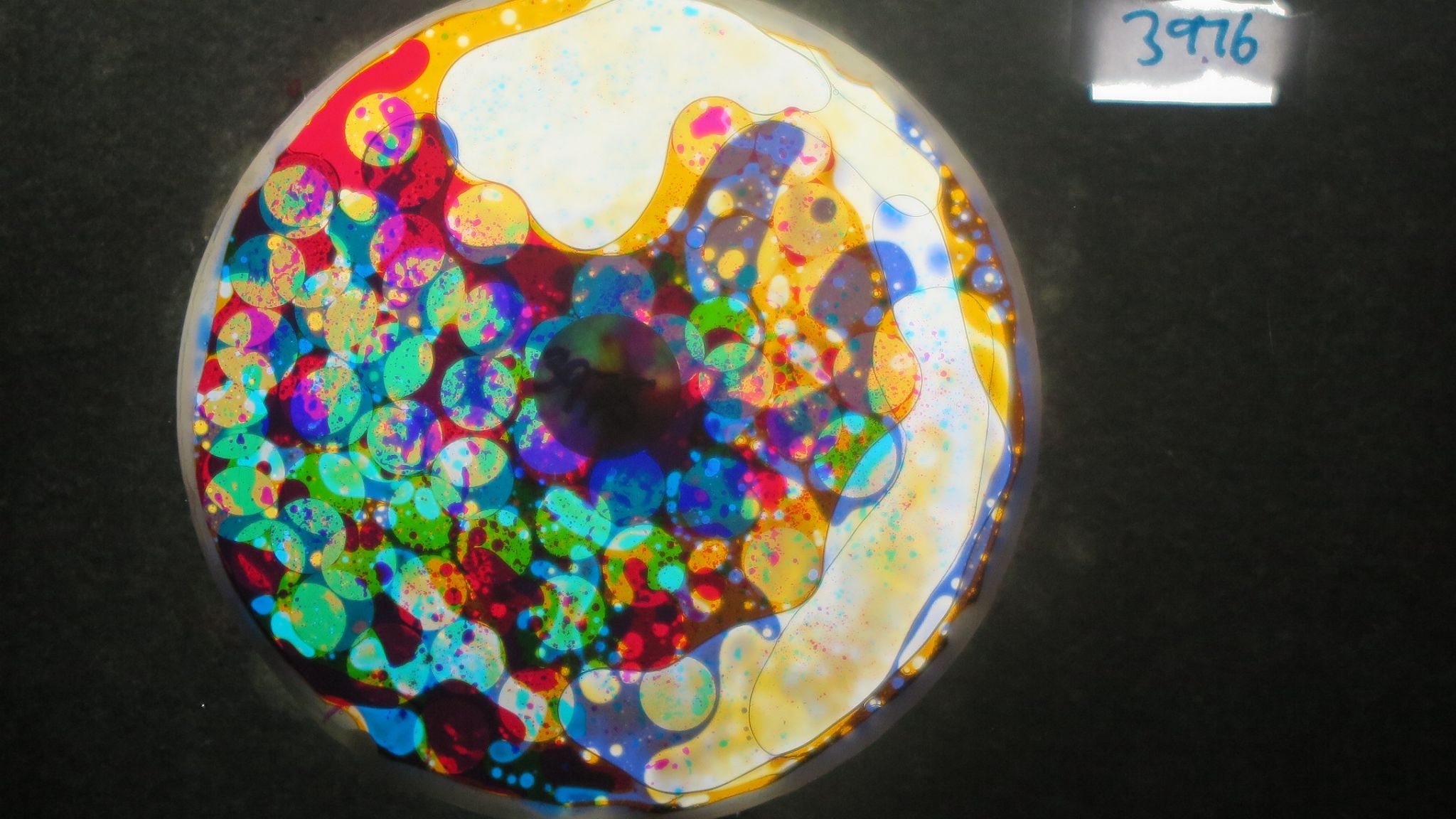 BV3976 bubble vision oil wheel